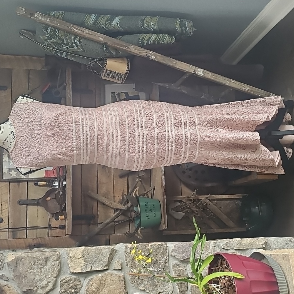 JS COLLECTIONS LACE HIGH LOW DRESS BLUSH